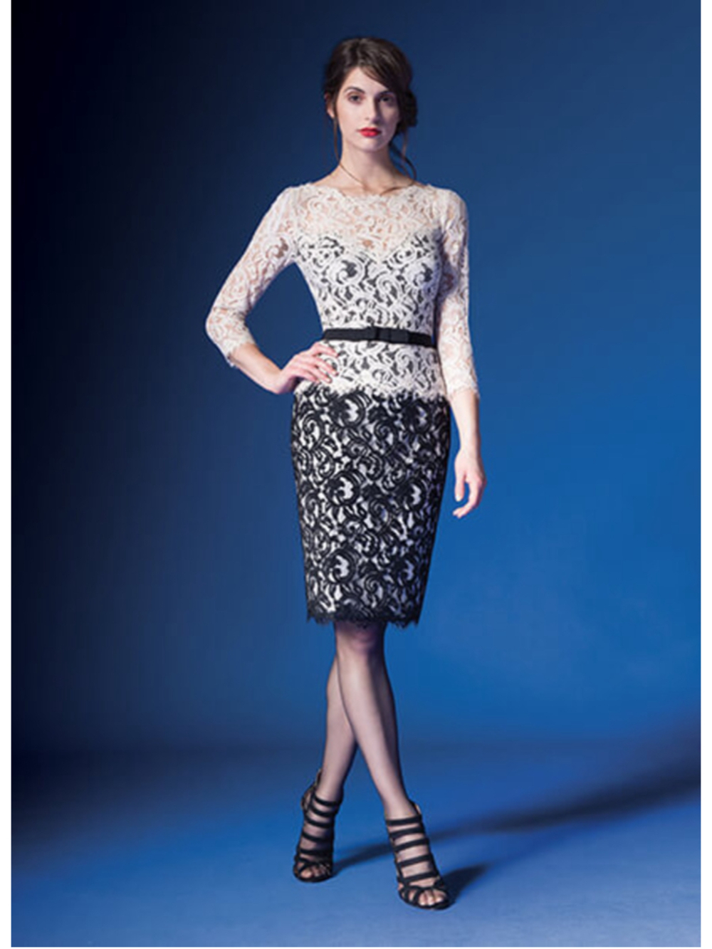 Tadashi Shoji Illusion Lace 3/4 Sleeve A Line Dress Size 10 Latte Black